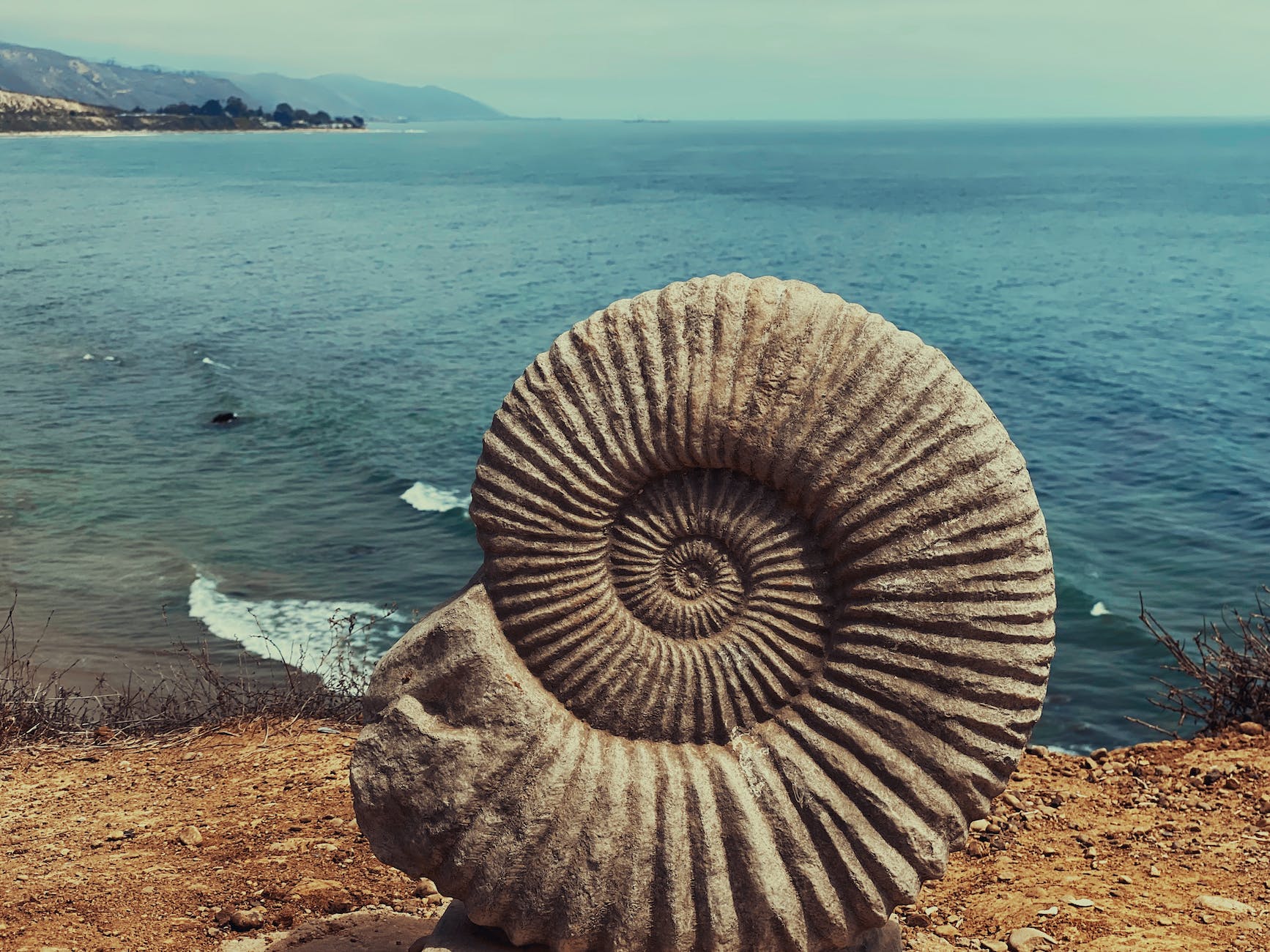 spiral shape of a fossil ammonite shell on brown sand near body of water